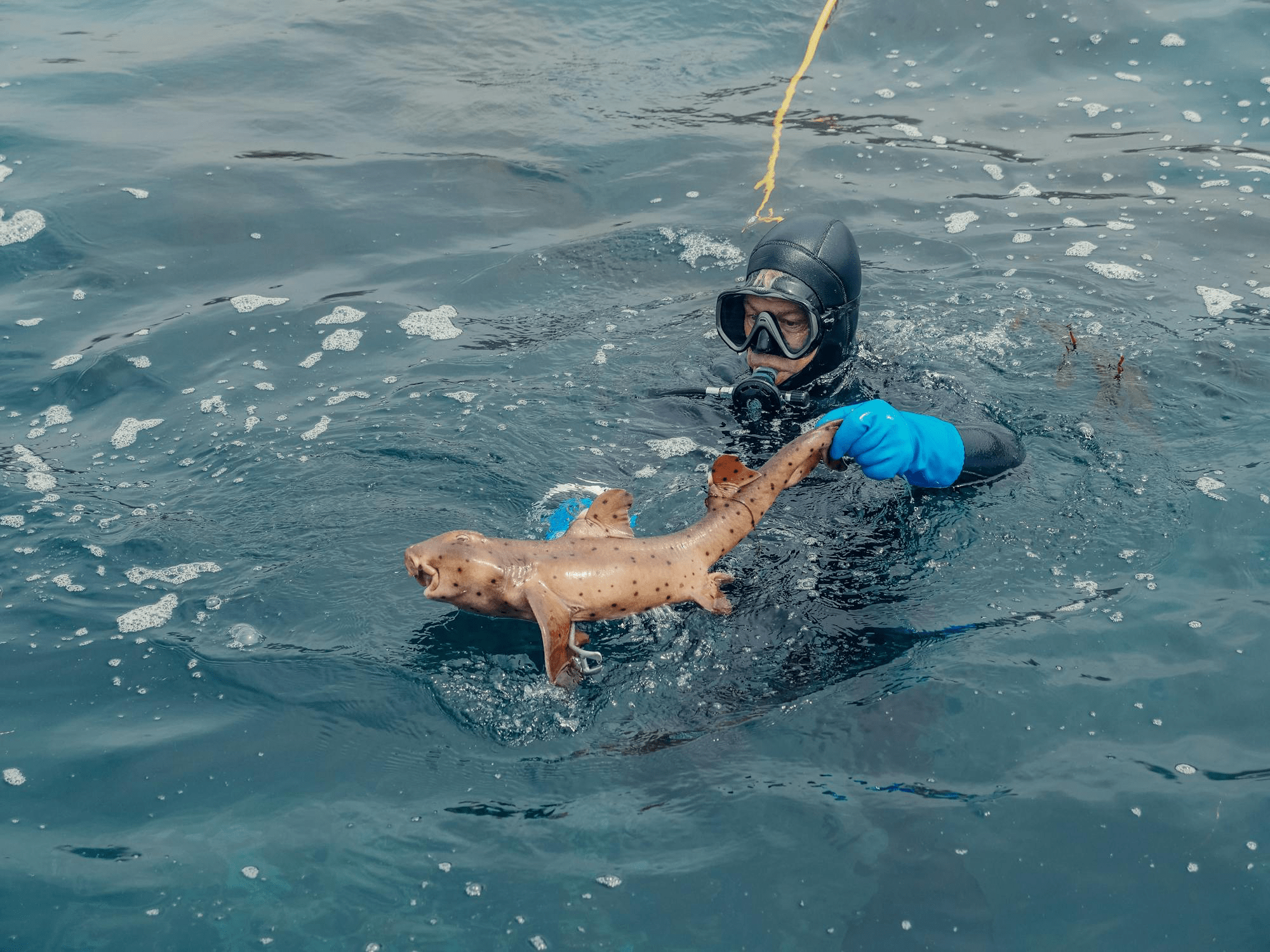 Photo of someone holding a fish on the surface of the sea in Lombok with Magic Fishing