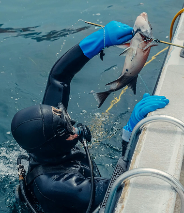 Photo of a diver holding a fish during a Magic sparefishing charter trip in Lombok