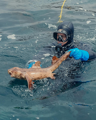 Photo of a diver holding a fish on the sea during a Magic fishing charter trip in Lombok